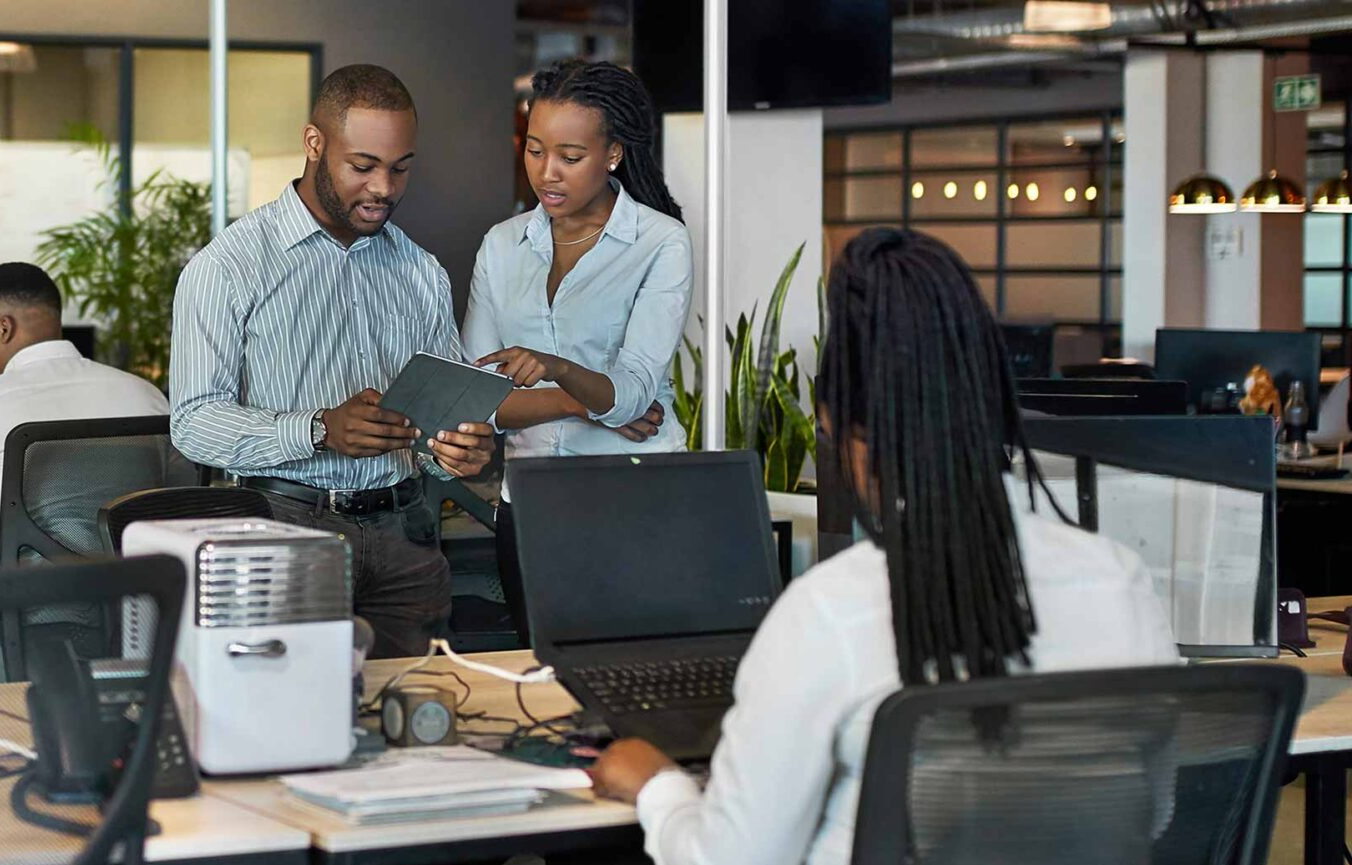 Organization Sustainability